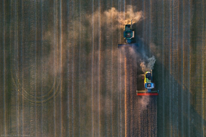 «Уборка пшеницы» - Валерий Притченко, Калининградская область. Август 2020