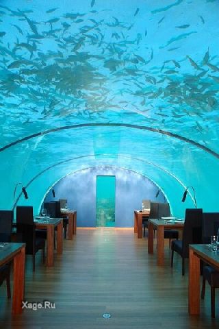 Подводный ресторан