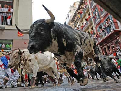 Ежегодный забег от быков в Испании