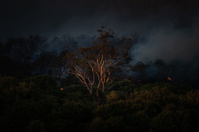 Matt Palmer «Пепел» (пожары в Тасмании). Победитель в категории «Проект»