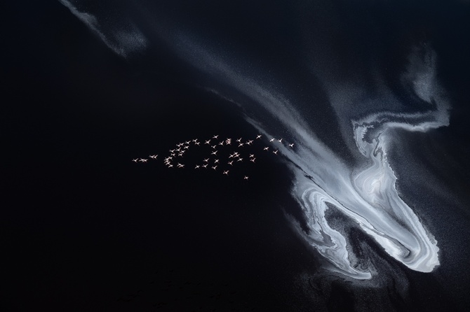 Thomas Vijayan (Канада) «Озеро Рудольф (Кения)». Высокая оценка жюри в категории видео «Дикая природа» | Drone Photo Awards 2021