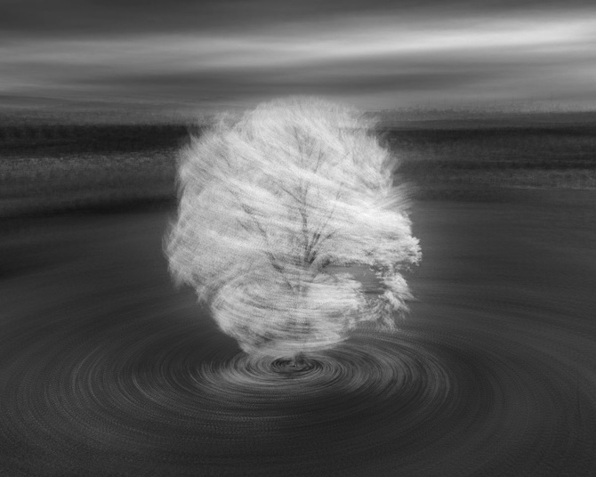 Thorsten Scheuermann (Германия) «Балерина» — 2-е место в категории «Абстракция». Абстрактный кадр дерева в его осеннем наряде, сделанный серией снимков с помощью дрона.