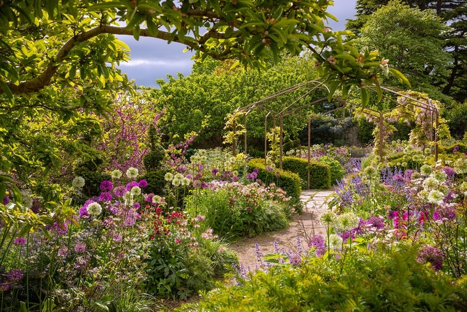Anna-Louise Hally (Ирландия) «Благодать» — 2-е место в категории «Прекрасные сады»