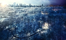 Центральный парк, Нью-Йорк фото 10