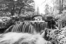 Allan Wright (Великобритания) «Японские водные сады». Высокая оценка жюри IGPOTY Black & White 15 фото 10