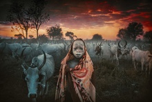 Svetlin Yosifov (Болгария) «Утро мандари в Южном Судане» фото 14