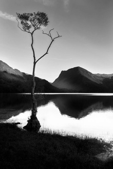 Timothy Burgess (Великобритания) «Дерево на берегу озера». Финалист IGPOTY Black & White 15 фото 4
