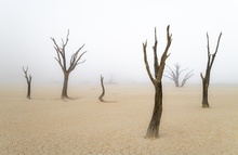Номинация «Пейзаж» 2 место – работа Евгения Бушкова «Туманный рассвет в Dead Vlei» фото 7