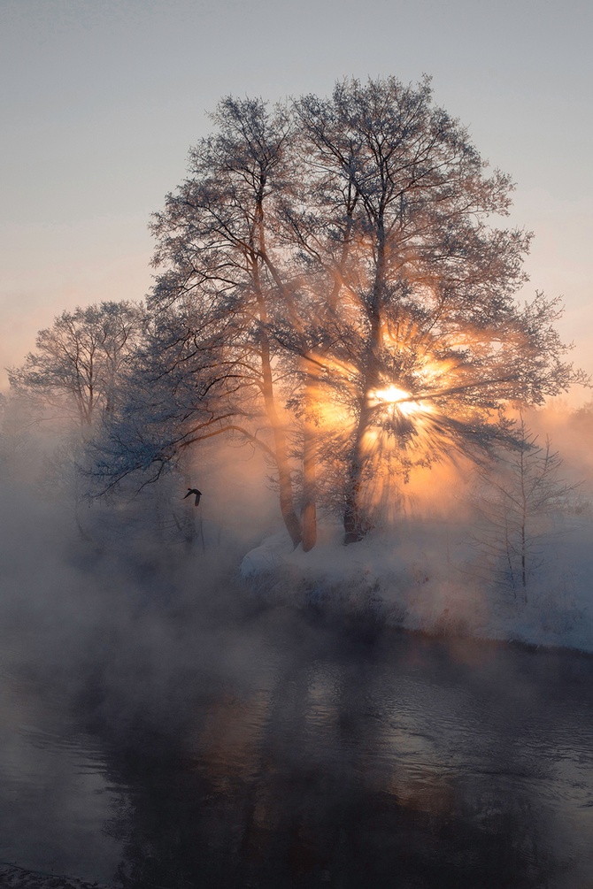 Зимняя сказка (река парит в 30-градусный мороз), фотограф: Юлия Федорова