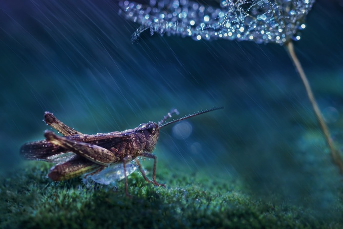 Под дождем, фотограф: Юля Яремко