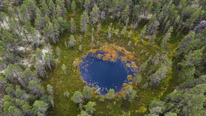 Лесные озера Карелии. Фото – Андрей Каменев