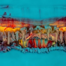 Опята (краска в воде) - Сергей Толмачев фото 14