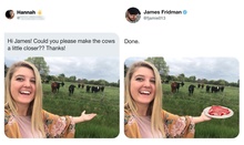 Можешь сделать так, чтобы коровы были поближе? Спасибо! фото 4