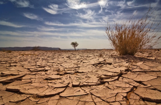 Наука: США грозит "Великая засуха"