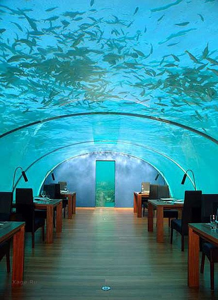 Первый подводный ресторан