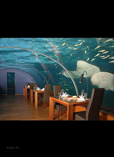 Первый подводный ресторан