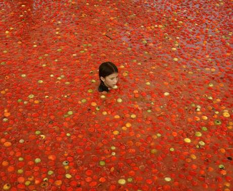 Томатино 2007, или война помидоров