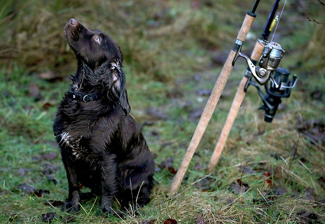 В Шотландии открылся сезон ловли лосося