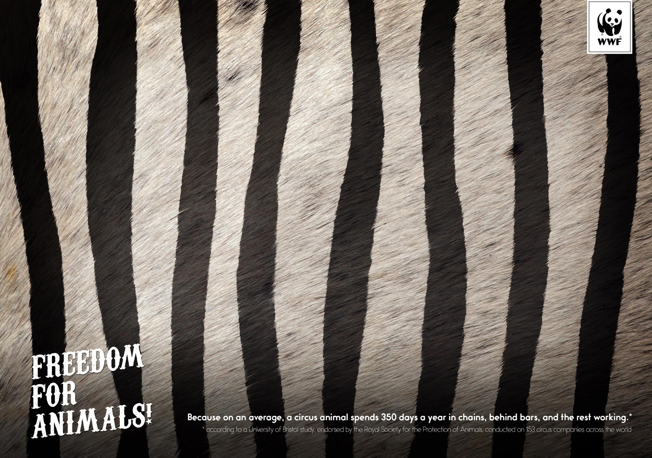 WWF: «Свободу животным»