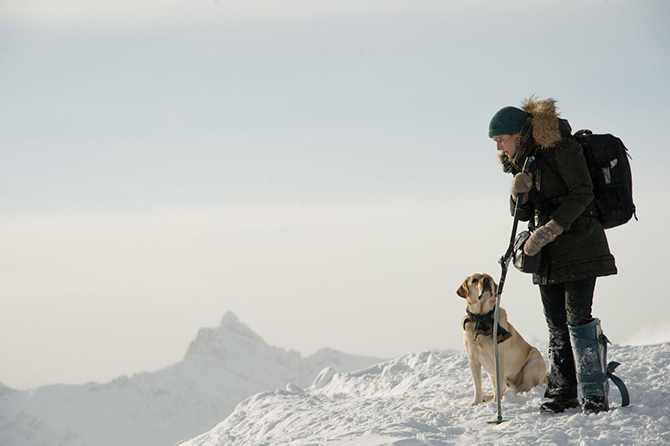 Смотрим трейлер фильма «Между нами горы» с Идрисом Эльбой и Кейт Уинслет