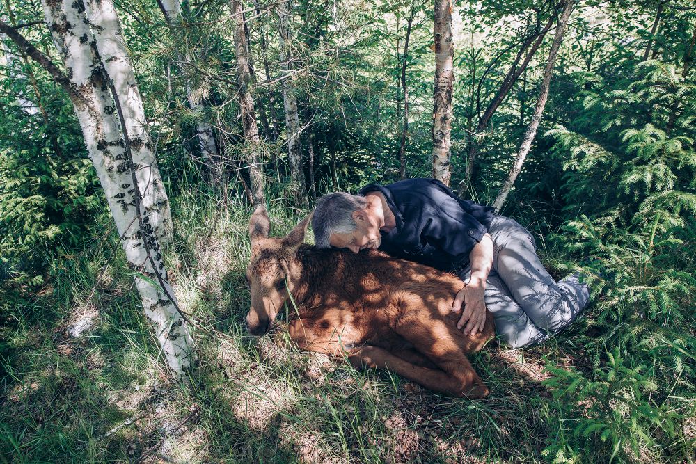 Собратья человека в объективе финского фотографа