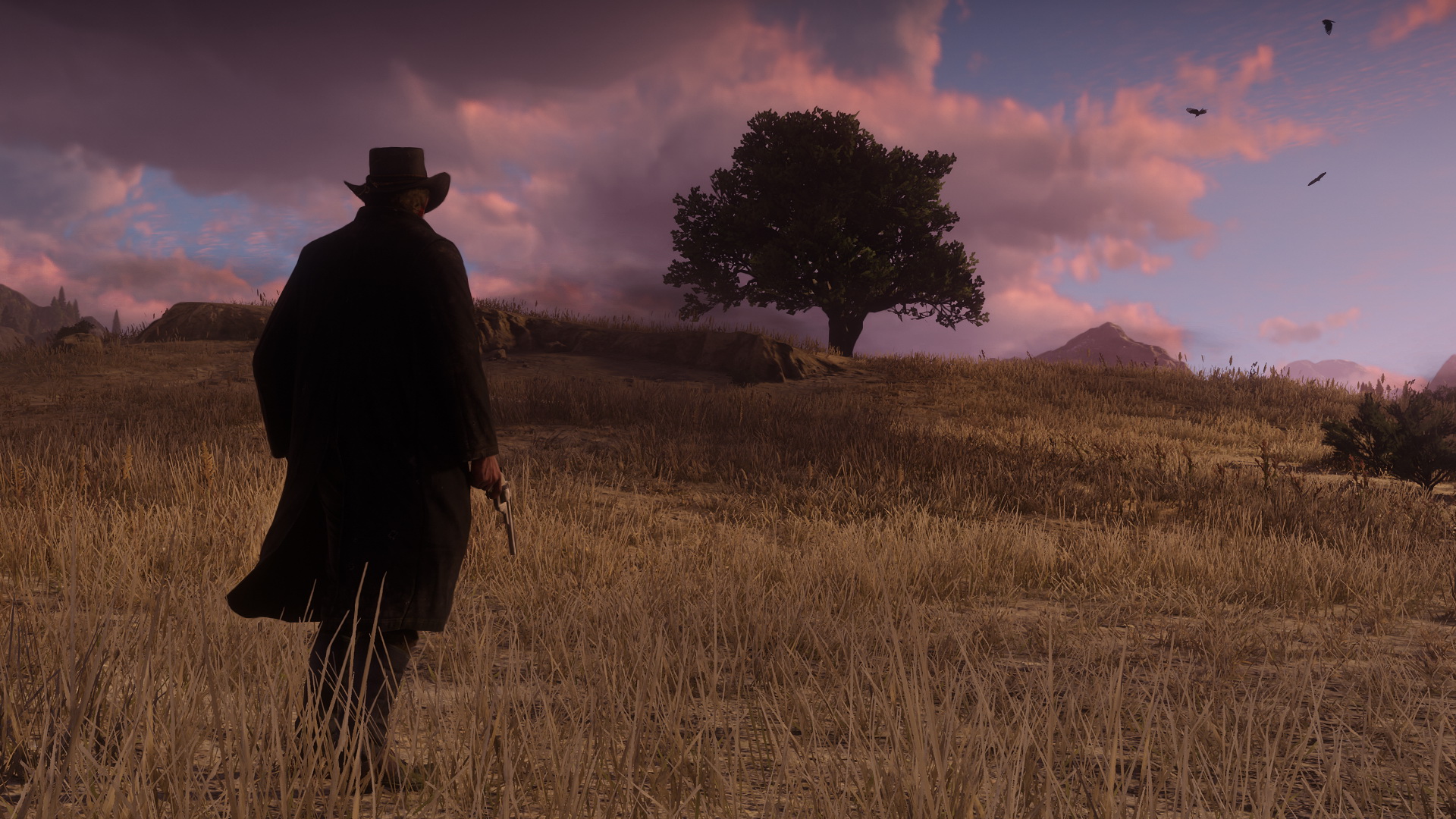 13 новых скриншотов Red Dead Redemption 2!