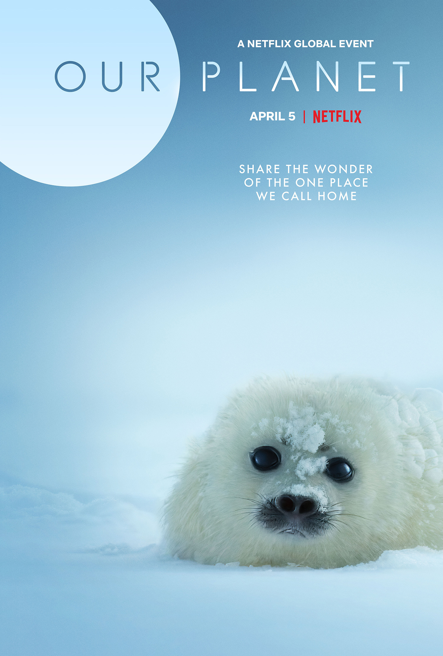 «Наша планета» — самый амбициозный документальный проект Netflix — ошеломит зрителей 5 апреля