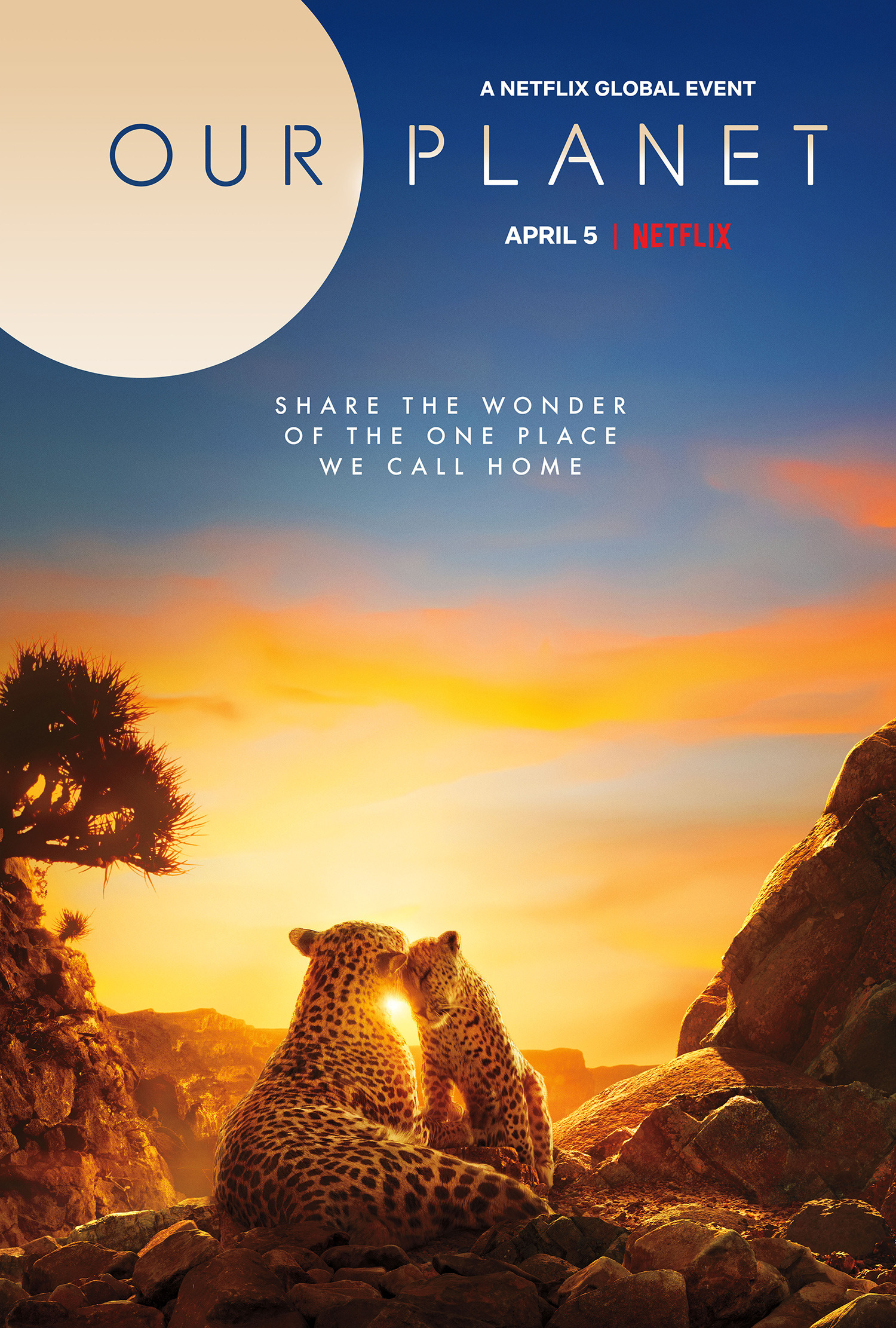 «Наша планета» — самый амбициозный документальный проект Netflix — ошеломит зрителей 5 апреля