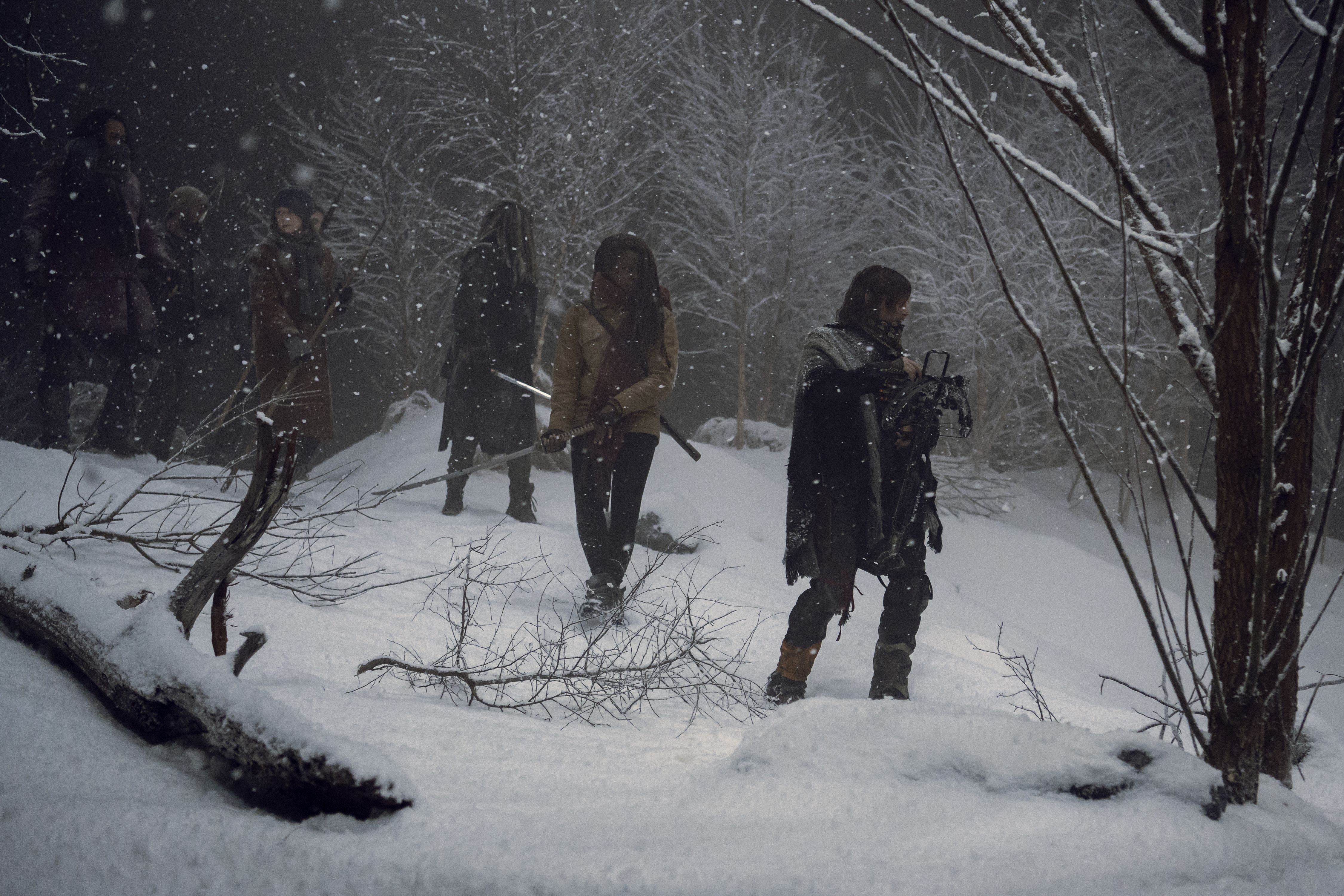 AMC тизерит снежный [!!!] шторм 17 кадрами финала девятого сезона «Ходячих мертвецов»