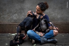 "Исцеляющее прикосновение" Брента Стиртона (Brent Stirton) из Южной Африки назвали лучшей "Фотожурналистской историей". Снимок сделан в Центре реабилитации приматов.  фото 3